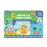 Flash Cards - Animals & Their Babies